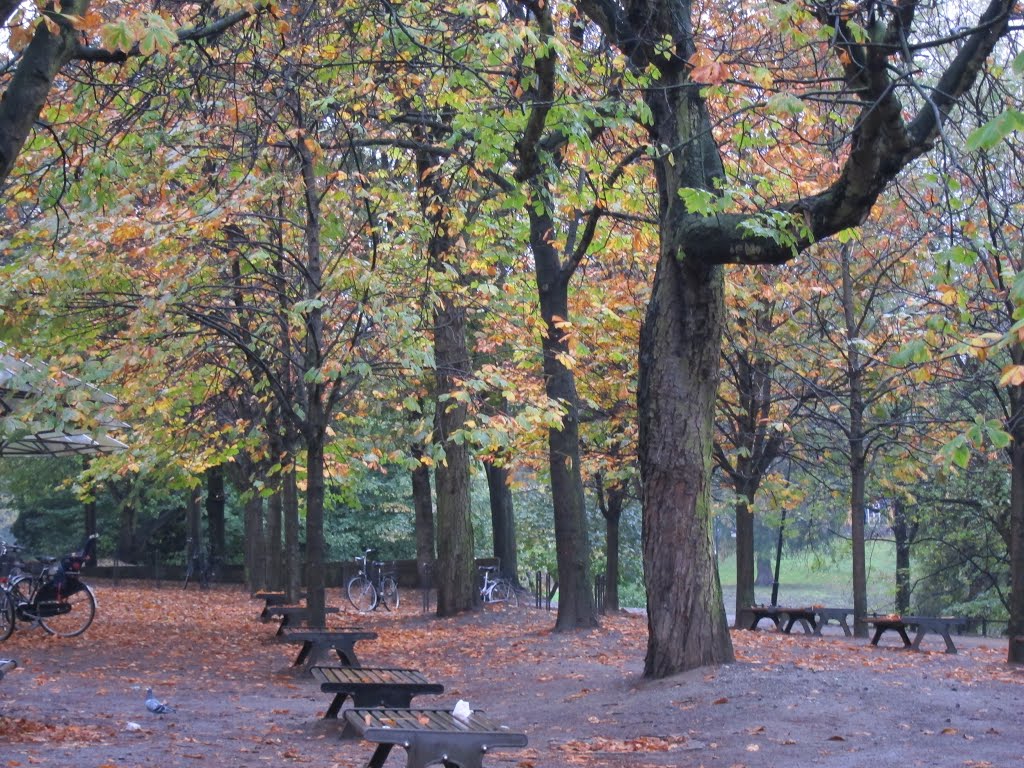 Bremen en otoño by Jesus Franco Gomez