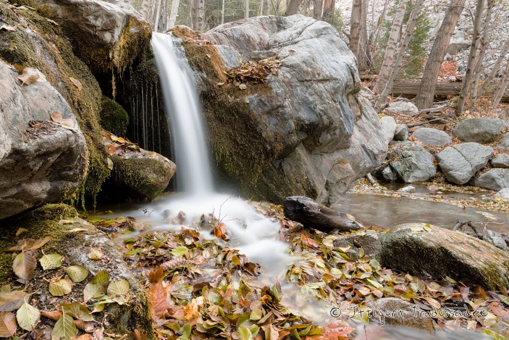 This little creek produces a small fall that still runs even in Autumn by Ittigorn Tradussadee