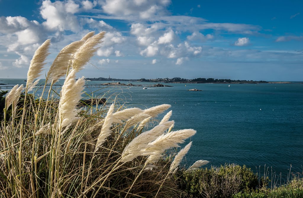 Batz vu de Roscoff by jérôme bastianelli