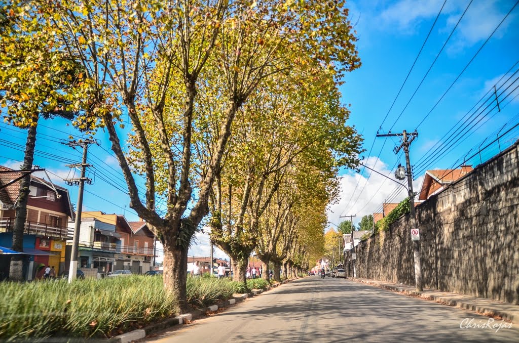 Vila Matilde, Campos do Jordão - SP, Brazil by Cristian Rojas