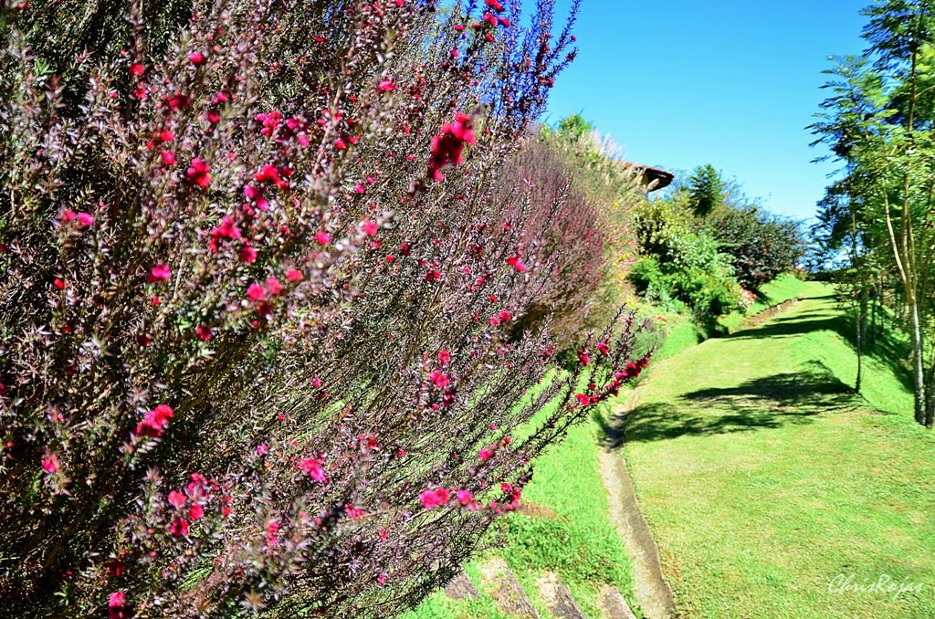 Fracalanza, Campos do Jordão - SP, Brazil by Cristian Rojas