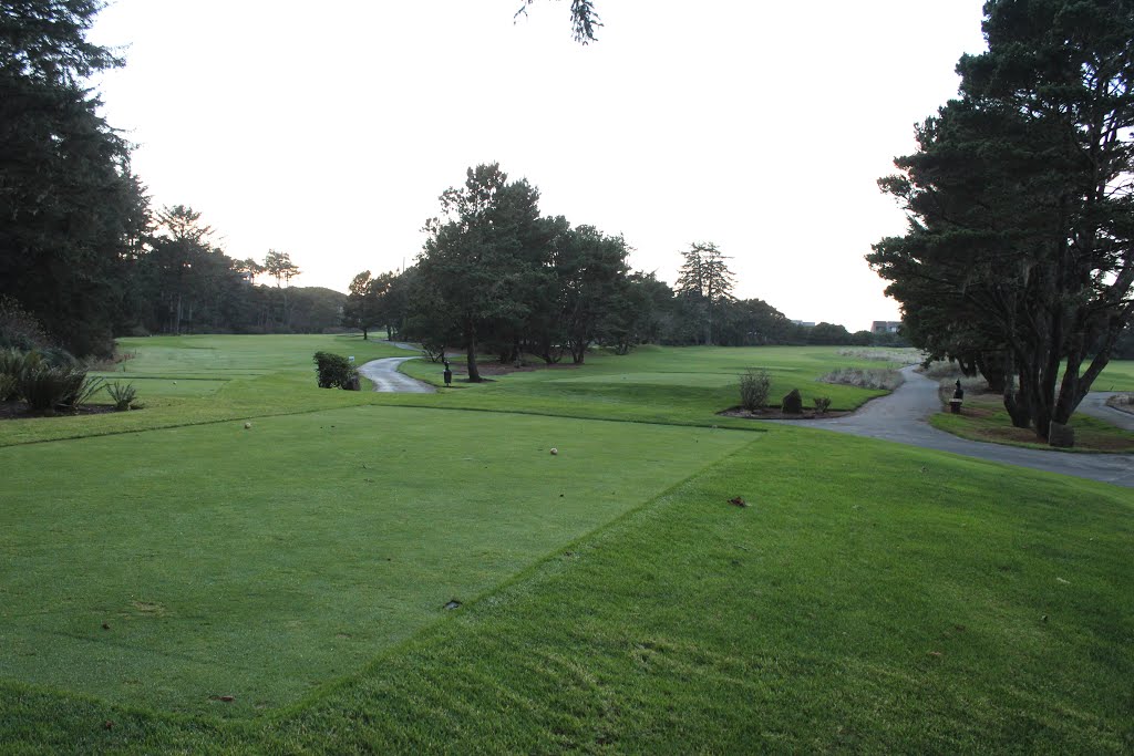 Salishan holes #12 and #14 by kohnea1