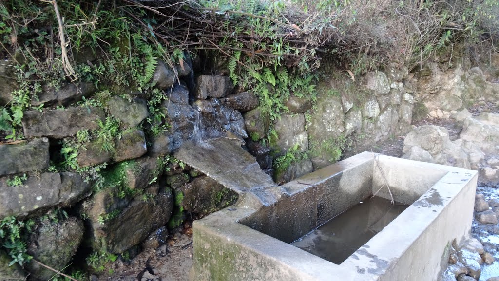 Una fuente de agua by Walter Beteta Pachec…