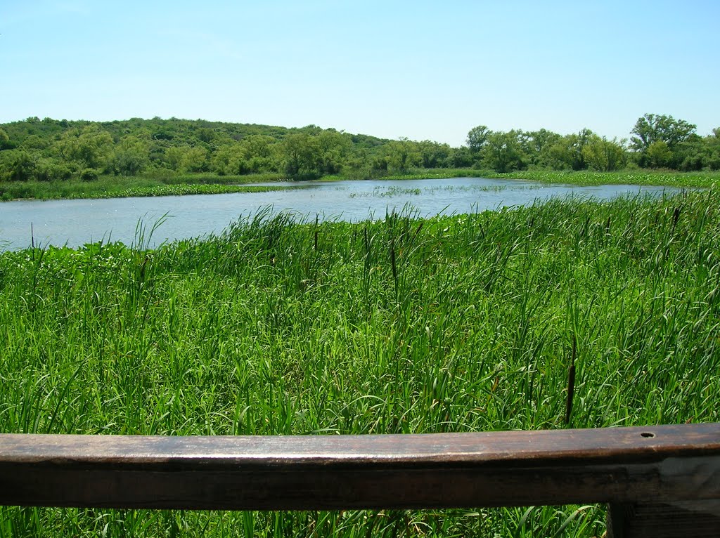 Laguna Las Piedras PN Pre Delta by Eduardo Altinger