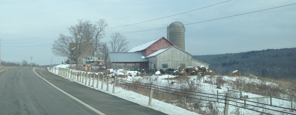 Pitcher, NY, USA by JB The Milker