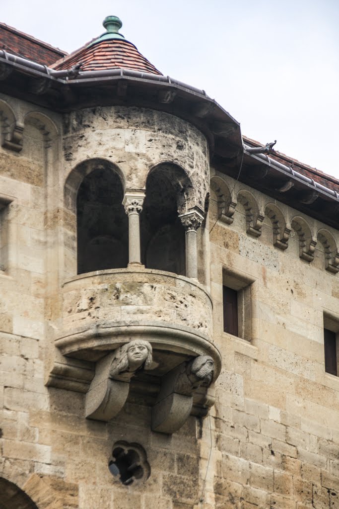 Liechtenstein Castle in Maria Grossenzersdorf, Austria by Yuri Dedulin