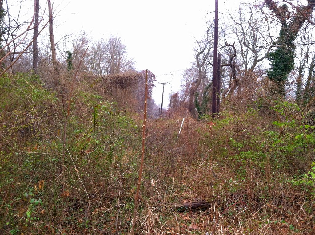 Glen Echo Trolley path, between Clara Barton Pkwy & MacArthur Blvd, Bethesda MD by Midnight Rider