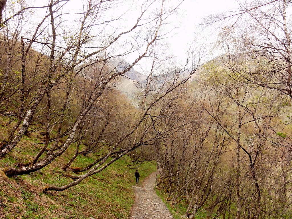 Stepantsminda-Sameba, Georgia by michels.lauren