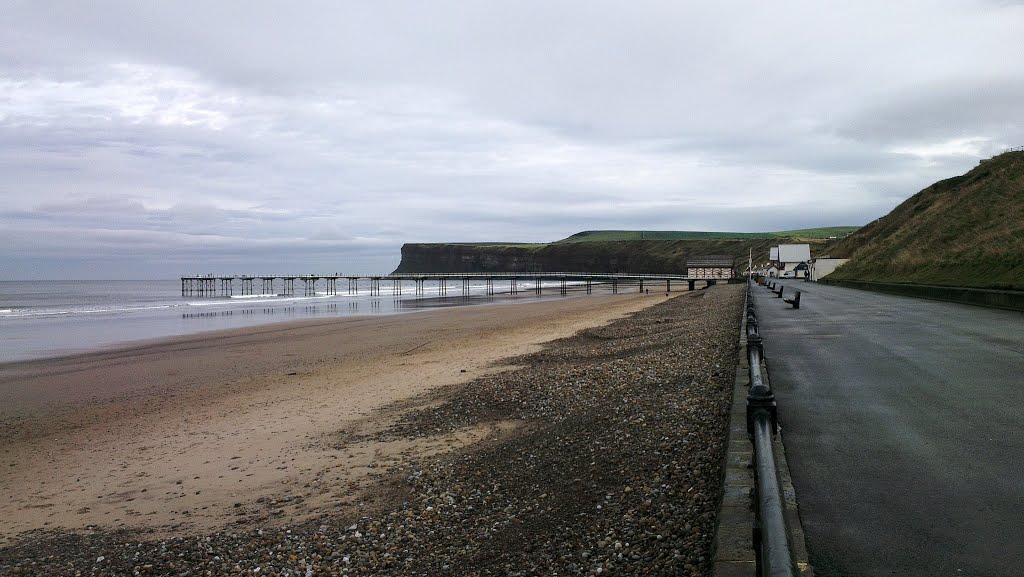 Saltburn by the Sea Pier by Duncan Stewart