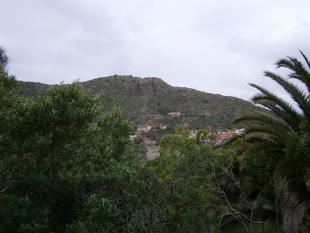 Vista desde el Jardín Canario by S. Jimenez