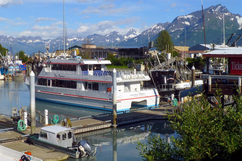 Valdez, Alaska by ZIPP