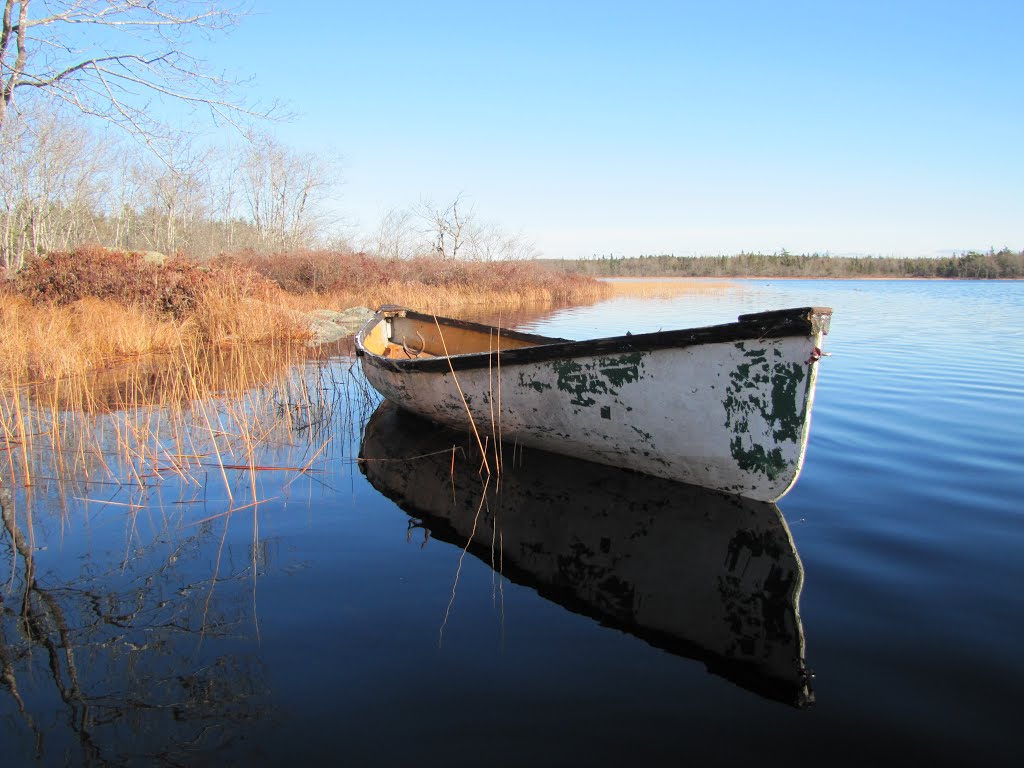 Cape Island Duck Boat by Carter Boswell