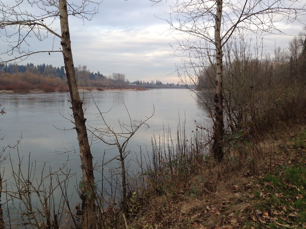 Willamette River from Minto-Brown Island park by kohnea1