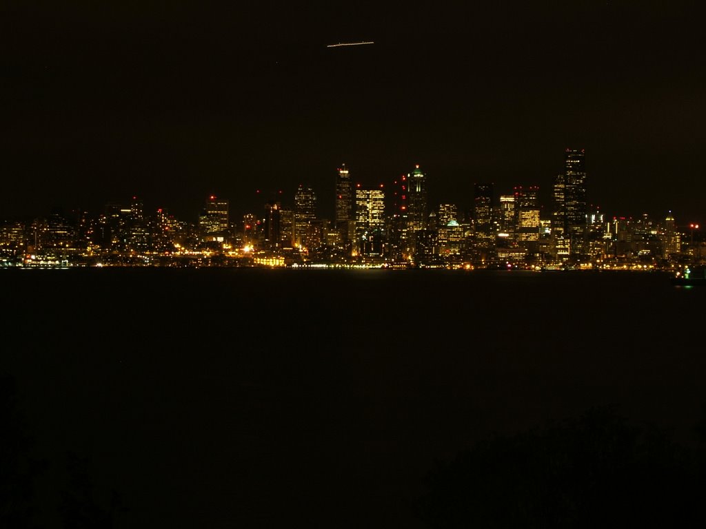 Seattle from Hamilton Viewpoint Park by Joe Lambert