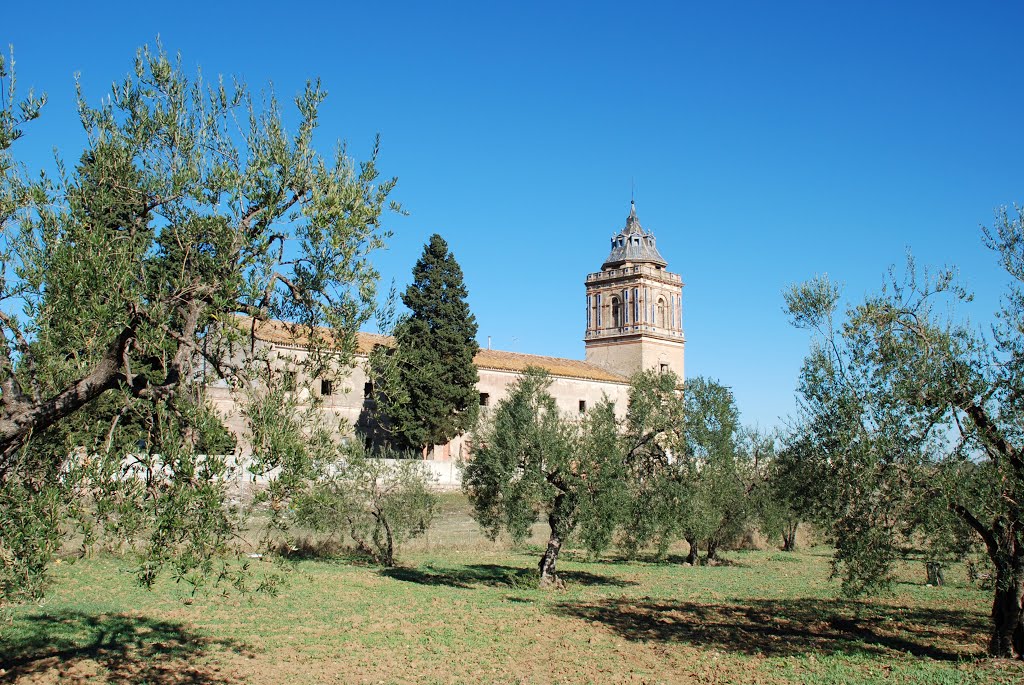 Ala Sur del Convento de San Isidoro del Campo by logut