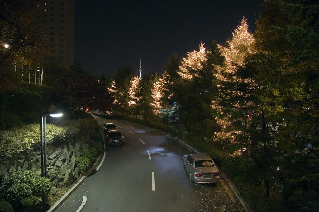 Light decorated trees at Shilla Hotel drive. by Roman Sobolenko