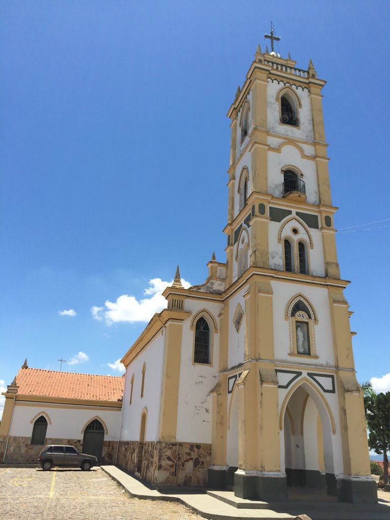 Igreja Matriz de Nossa Senhora das Necessidades - Piracema, MG by Clebicar