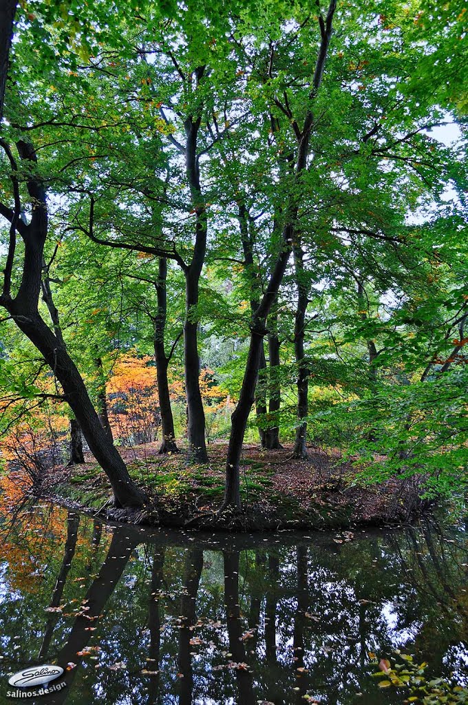 Höpkens Ruh, Oberneuland, Bremen - (C) by Salinos_de HB by SalinosⒸ