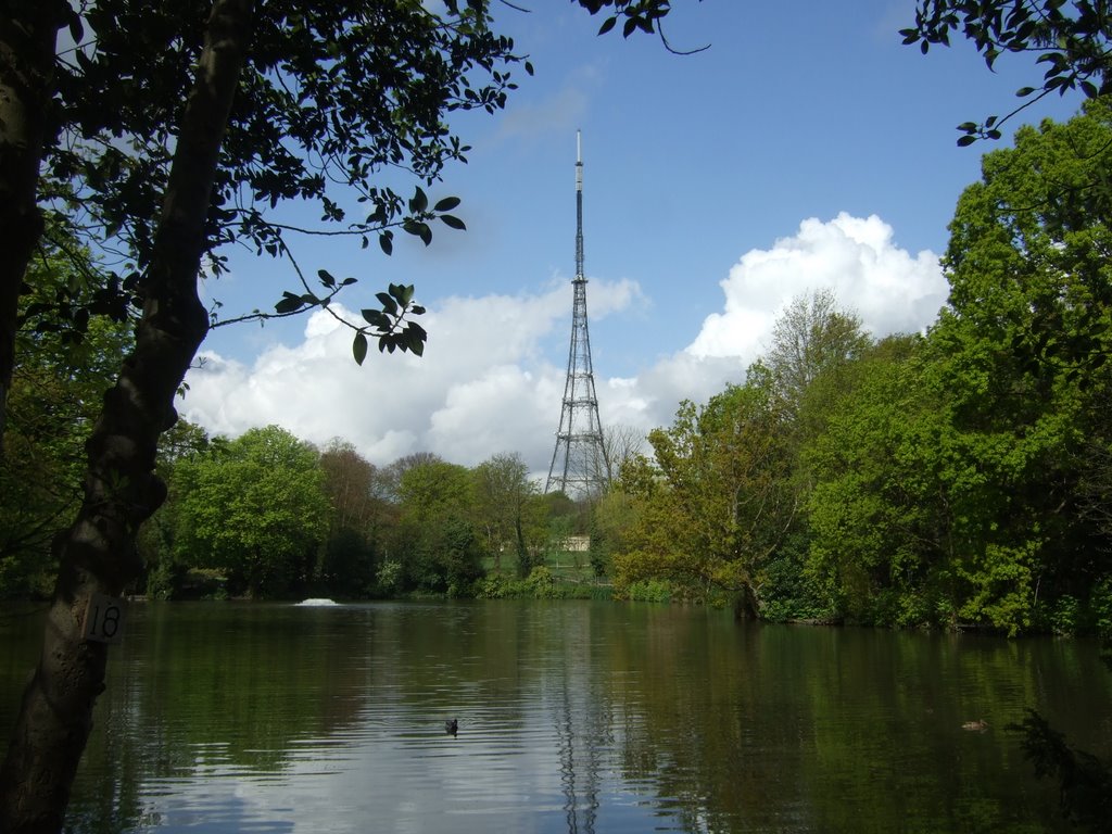 Crystal Palace Lake by Hollywood Hill