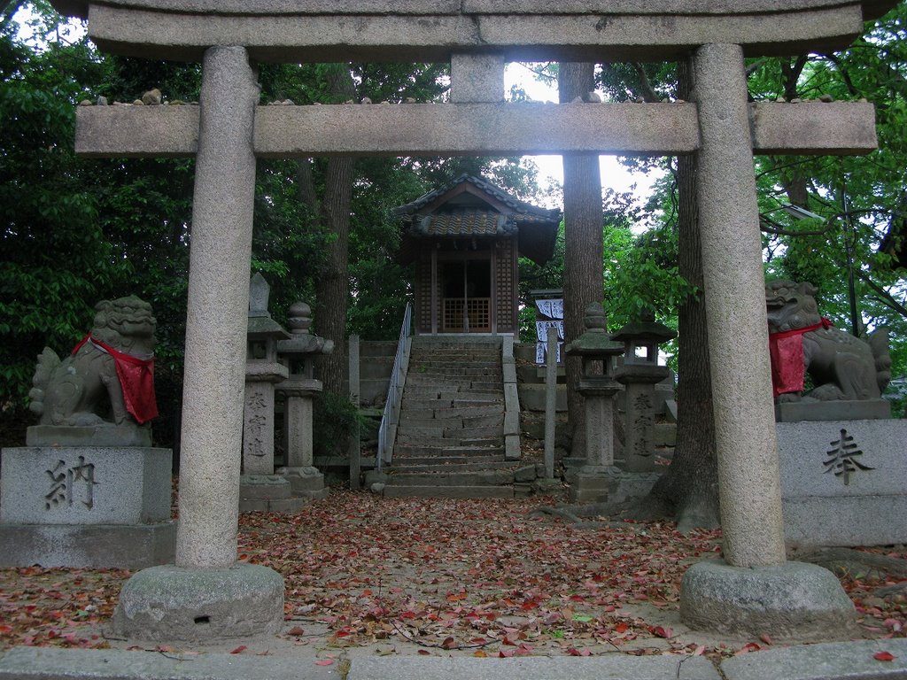 稲野神社　３ by tokyo-nakano