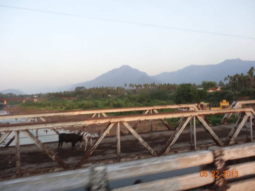 மேட்டுப்பாளையம் మేట్టుప్పాలయం मेट्टुप्पालयम മേട്ടുപ്പാളയം ମେତତୁପ୍ପାଲୟମ୍ میٹٹھپپالییم ਮੇਟੁਪ੍ਪਾਲਯਮ မေးတ္ထူပ္ပာလယမ် མཻཊུཔྤཱལཡཾ මෙට්ටුප්පාලයම් Maettuppaalayam - 8256. by dhanasekarangm