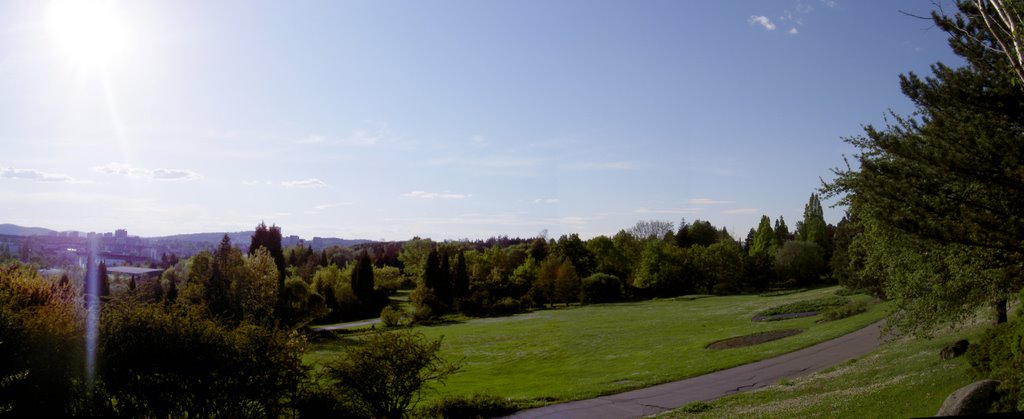 Arboretum MZLU - Brno Černá Pole by marthentuma