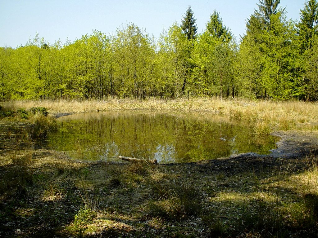 Vennetje, Stiphoutse Bossen, Stiphout (Helmond) by uaf