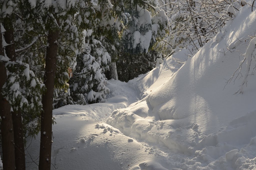 Edge of Trail in Deep Snow by BruceBauer