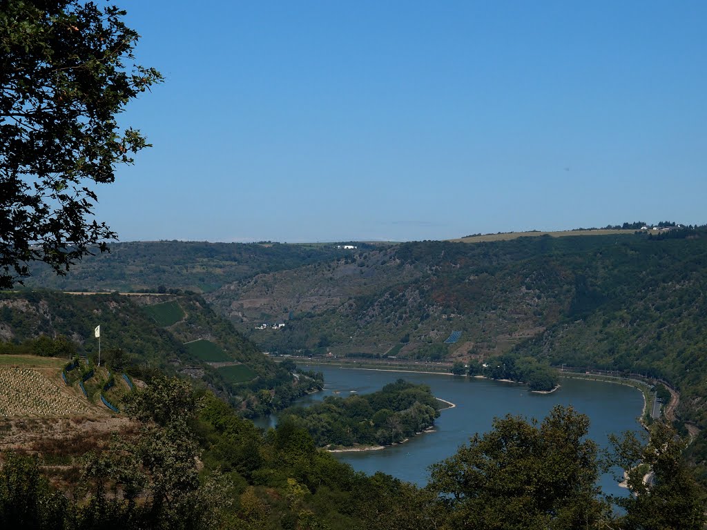 Medenscheid: Blick Richtung Rhein by haroldslegers