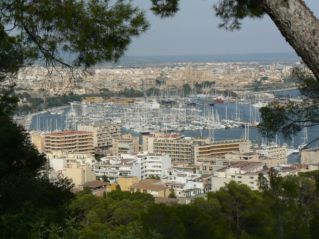 Vista su Palma de Mallorca by Francesca Riello