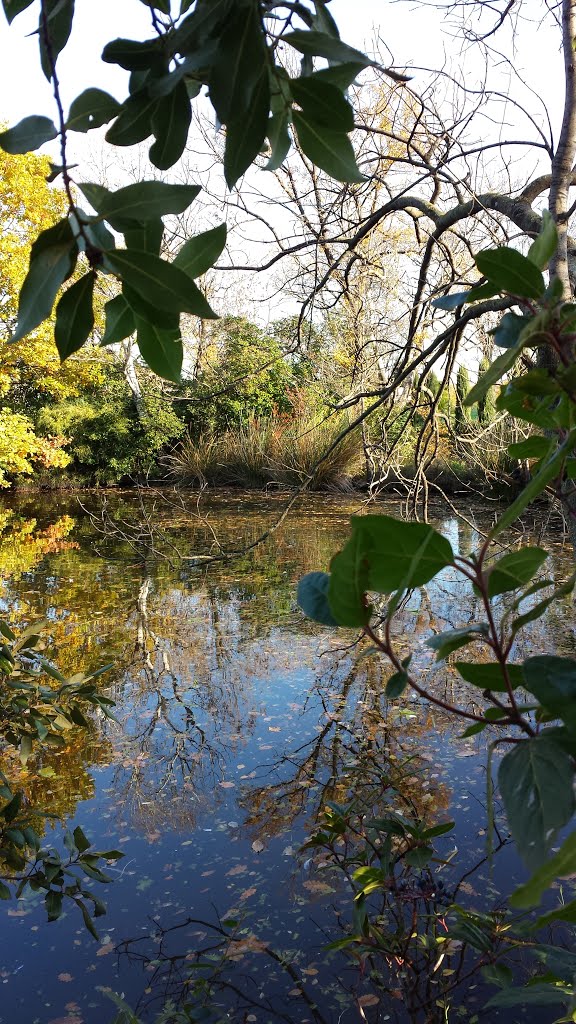 Pièce d'eau du château de Solliés Pont, Var by liovar