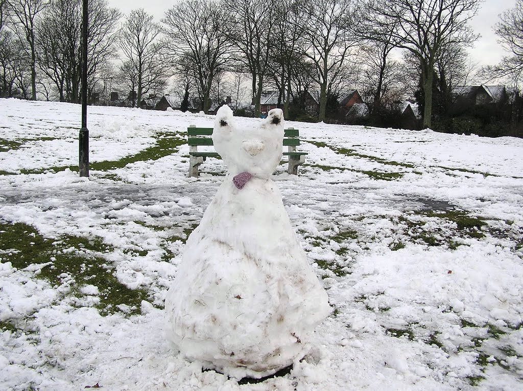 Snow in the park by bobdad