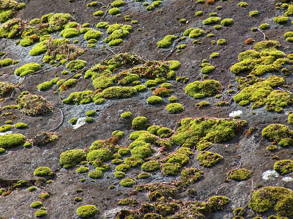 Roccia abitata by Paolo Gerlin