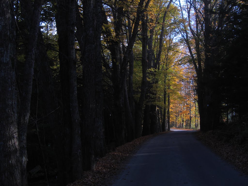 Country road by rblekicki