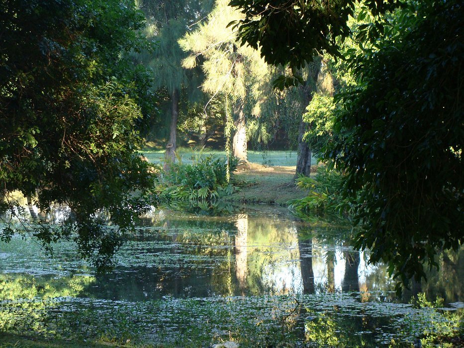 Parque Marinha do Brasil-espelho 09 by Plinio Fasolo