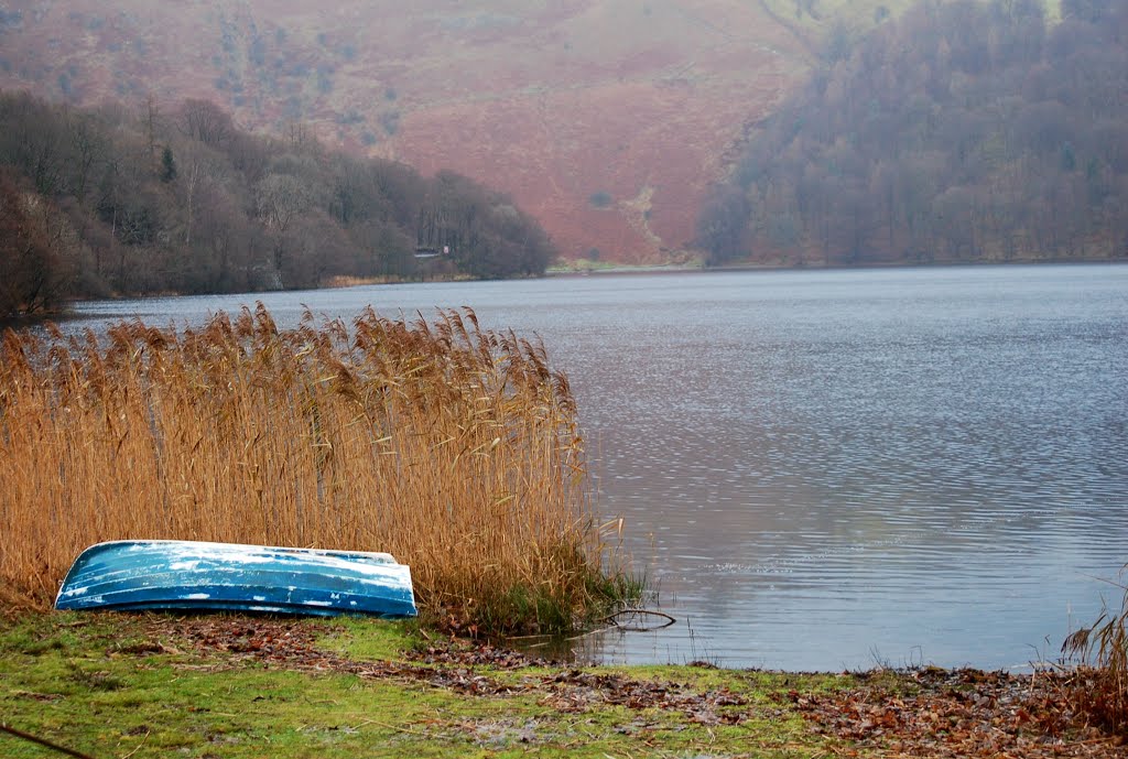 Grassmere by Stuart Wright