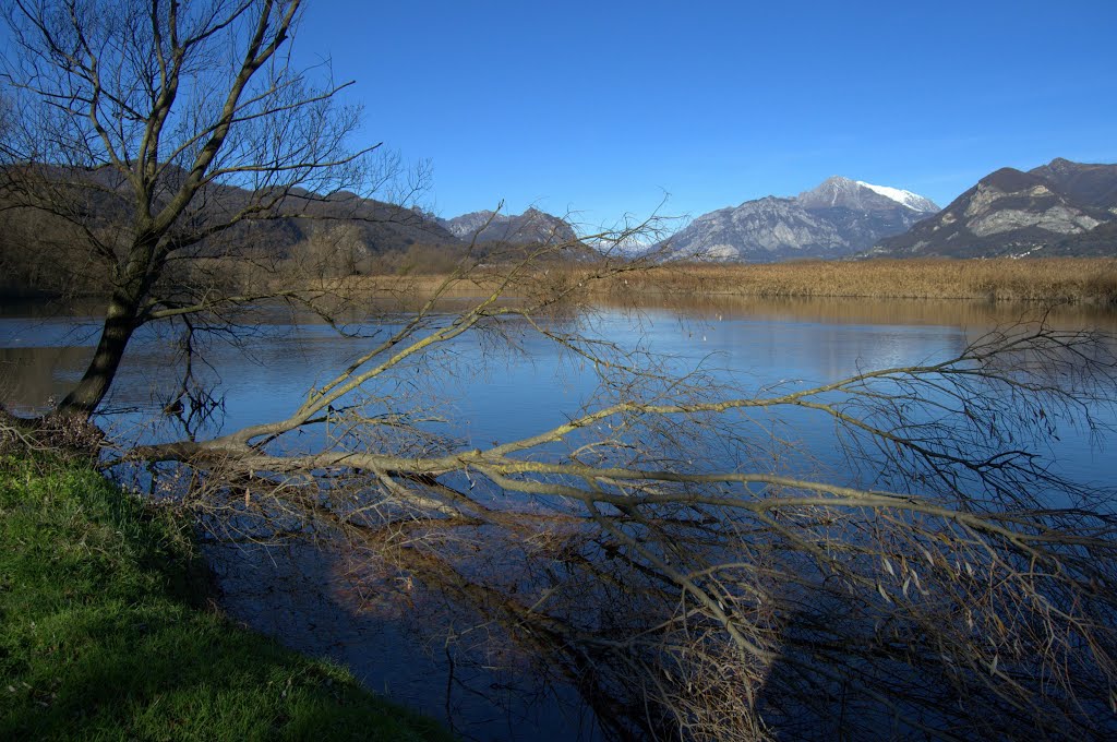 The River Adda in a wintry, sunny and breezy day by Angela Rozzoni