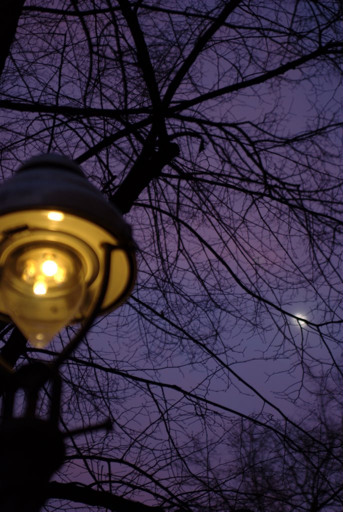 Streetlamp Kreuzberg by mafix