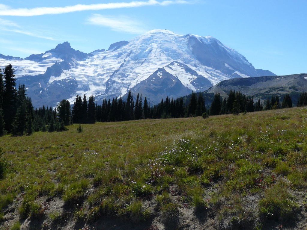 Washington - Parque Nac. Mt. Rainier by adutto