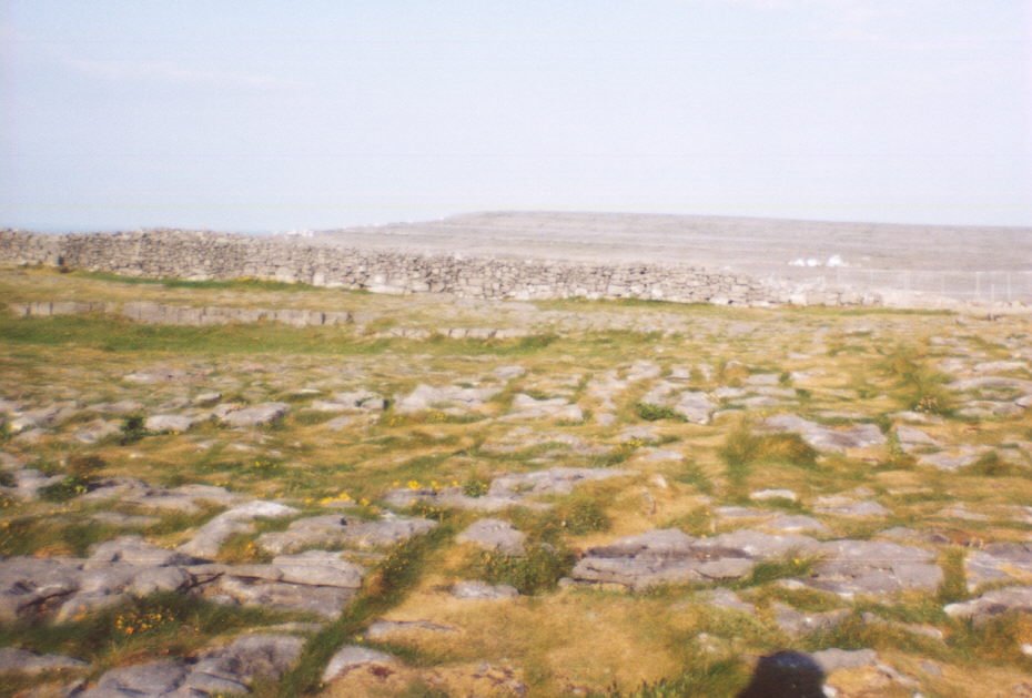 Limestone Field, Inishmoor by Ryan Kelly