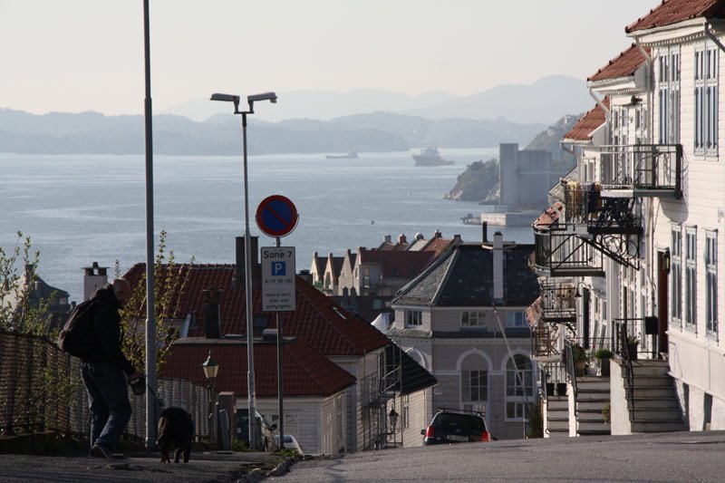 Vista desde Skansen, Bergen by Pedro Mordt