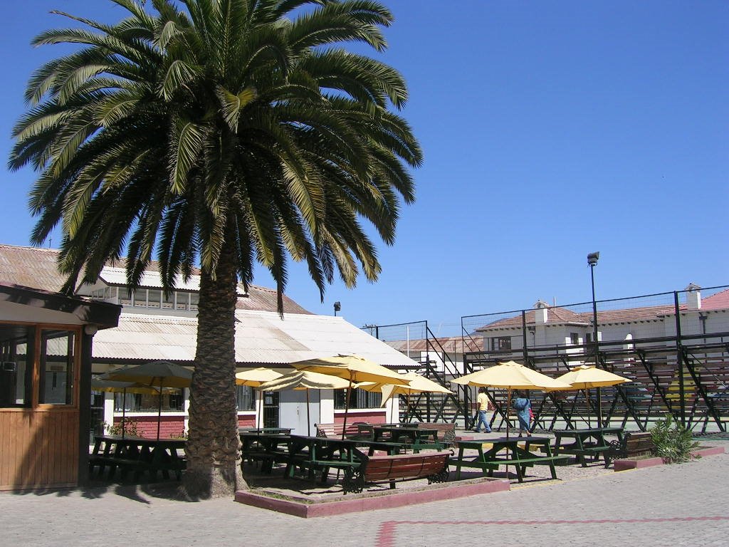 Patio de La Palmera Colegio Gabriel González Videla by ROFREX