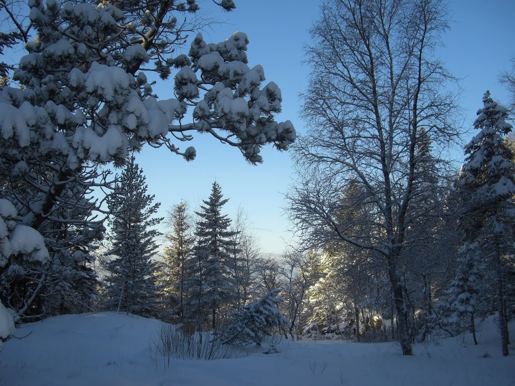 Blue winter-paradise in descember by Mona Lygre