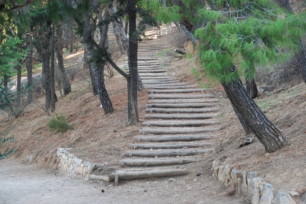 Lycabettus Hill by giwrgosd