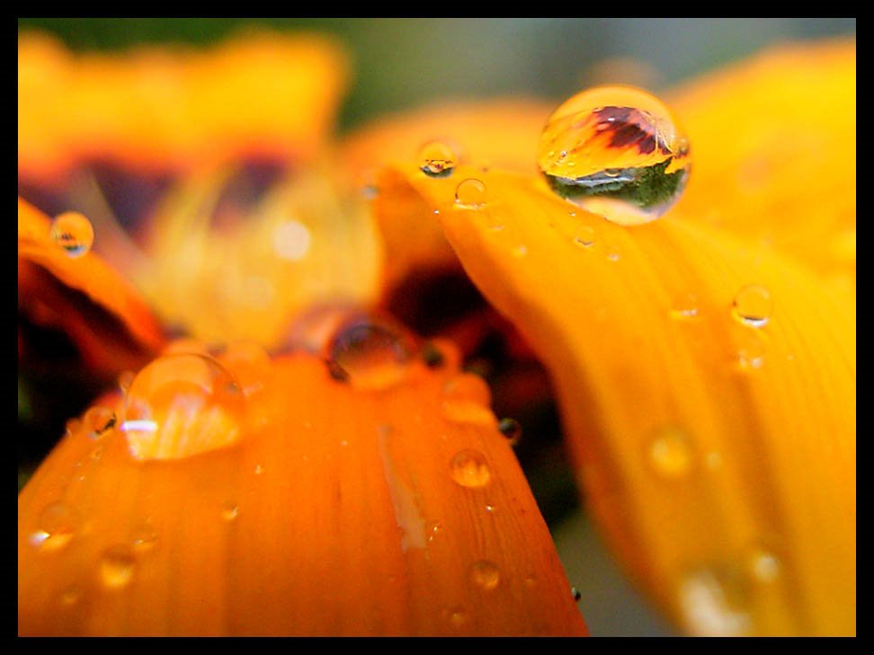 Une bille d'eau by Zoom by D.Bertizzolo