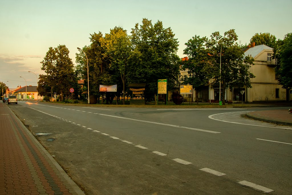 Rudnik nad Sanem-Rynek by tadeusz dziedzina©