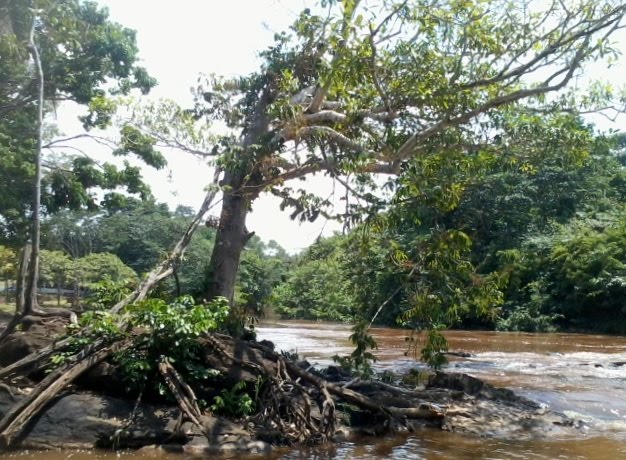 Rio Parauapebas PA by amarildo varela