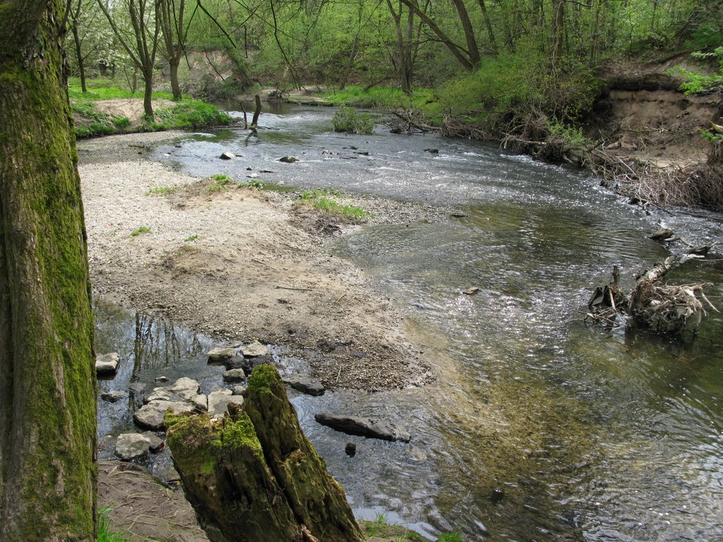 Werre am Meschesee by UlliB