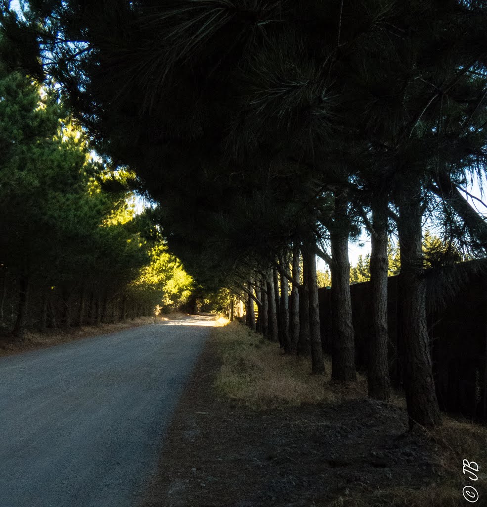 Dirt Road near my hotel by JaX Chile