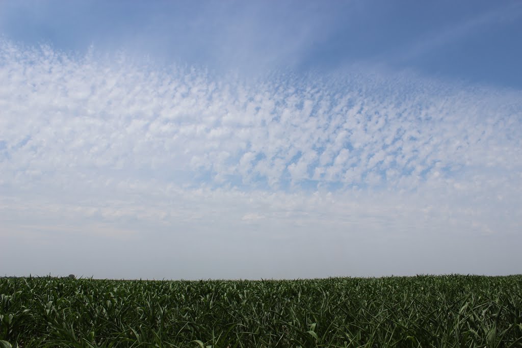 South Dakota Afternoon by Mayer-Photogaphy